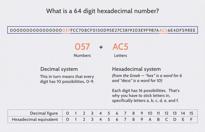 the 64-Digit Code